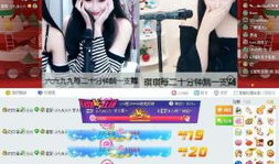 日本六九视频,一场视觉与文化的碰撞之旅